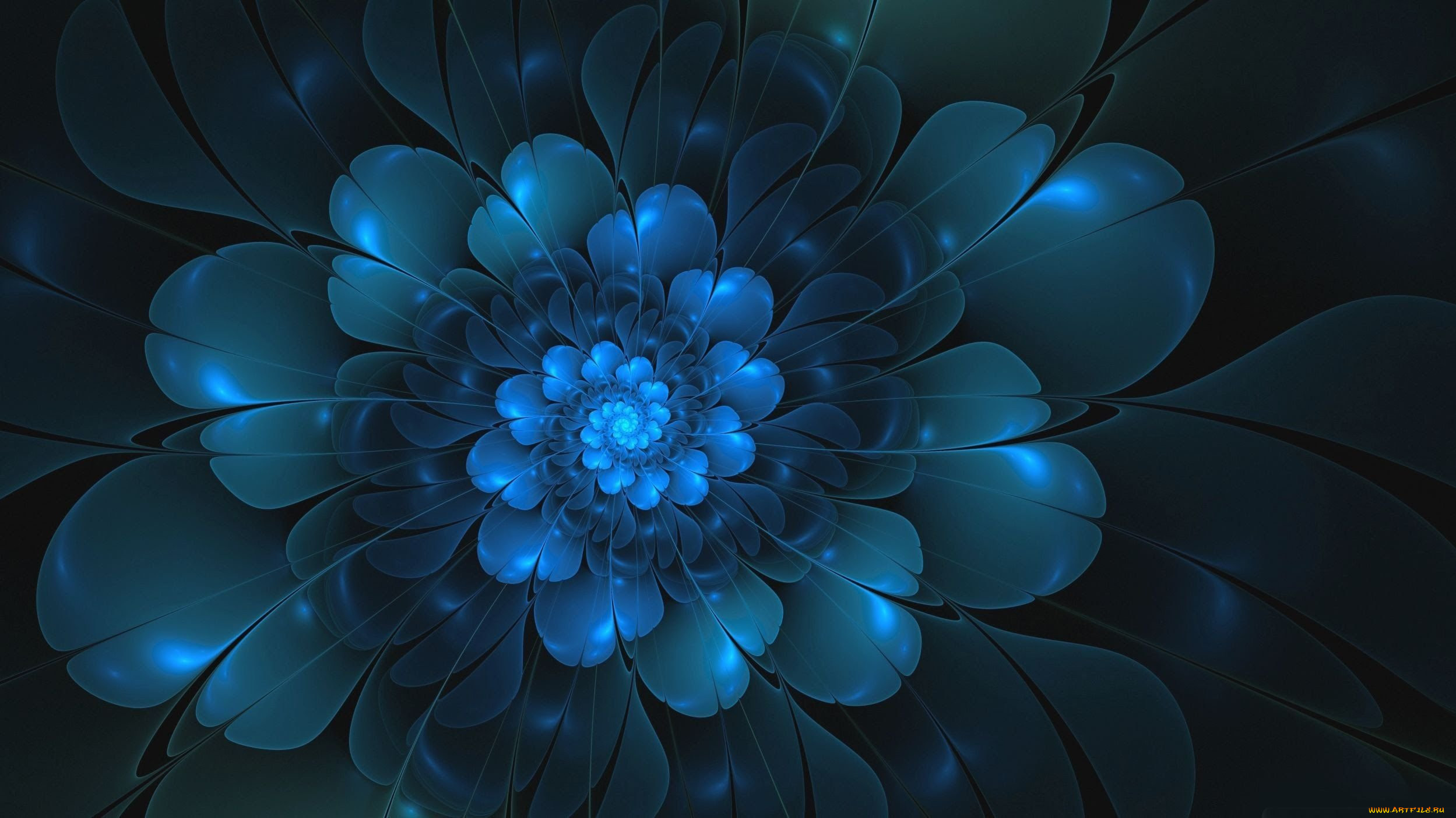 3 ,  , flowers, , 